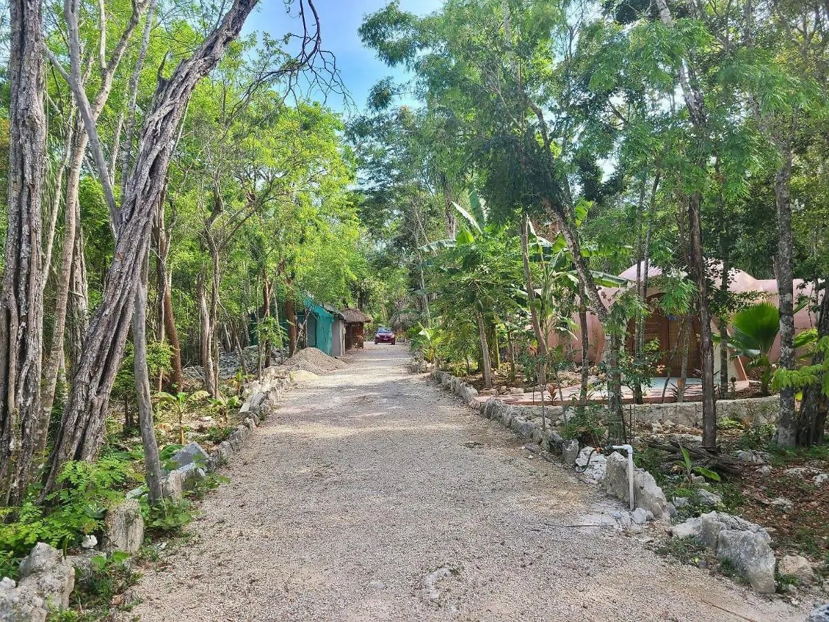 Dome Ha Unique Eco-Luxe Couple Dome Cenote Bikes Apartment Tulum 0*,