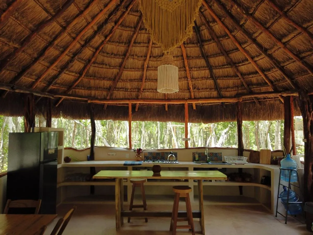 Dome Ha Unique Eco-Luxe Couple Dome Cenote Bikes Apartment Tulum